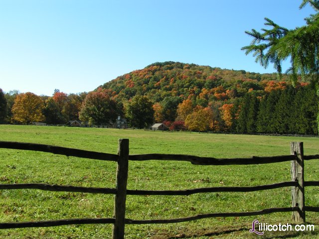 PA Laurel Highlands