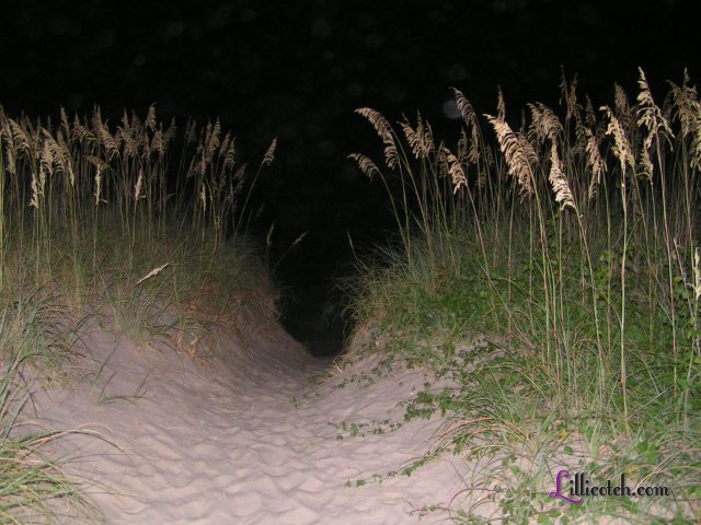 2008 Cape Hatteras Vacation