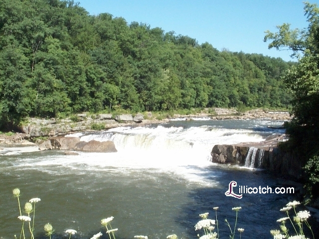 Ohiopyle State Park